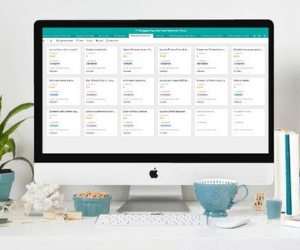 Blog Boss Management System Blog Boss Management System